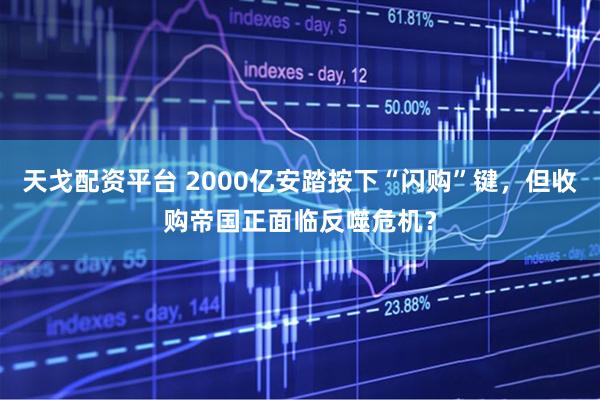 天戈配资平台 2000亿安踏按下“闪购”键，但收购帝国正面临反噬危机？