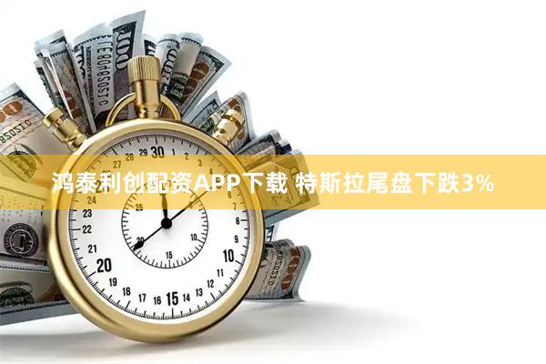 鸿泰利创配资APP下载 特斯拉尾盘下跌3%